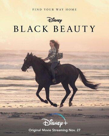  ׸  / Black Beauty (2020)